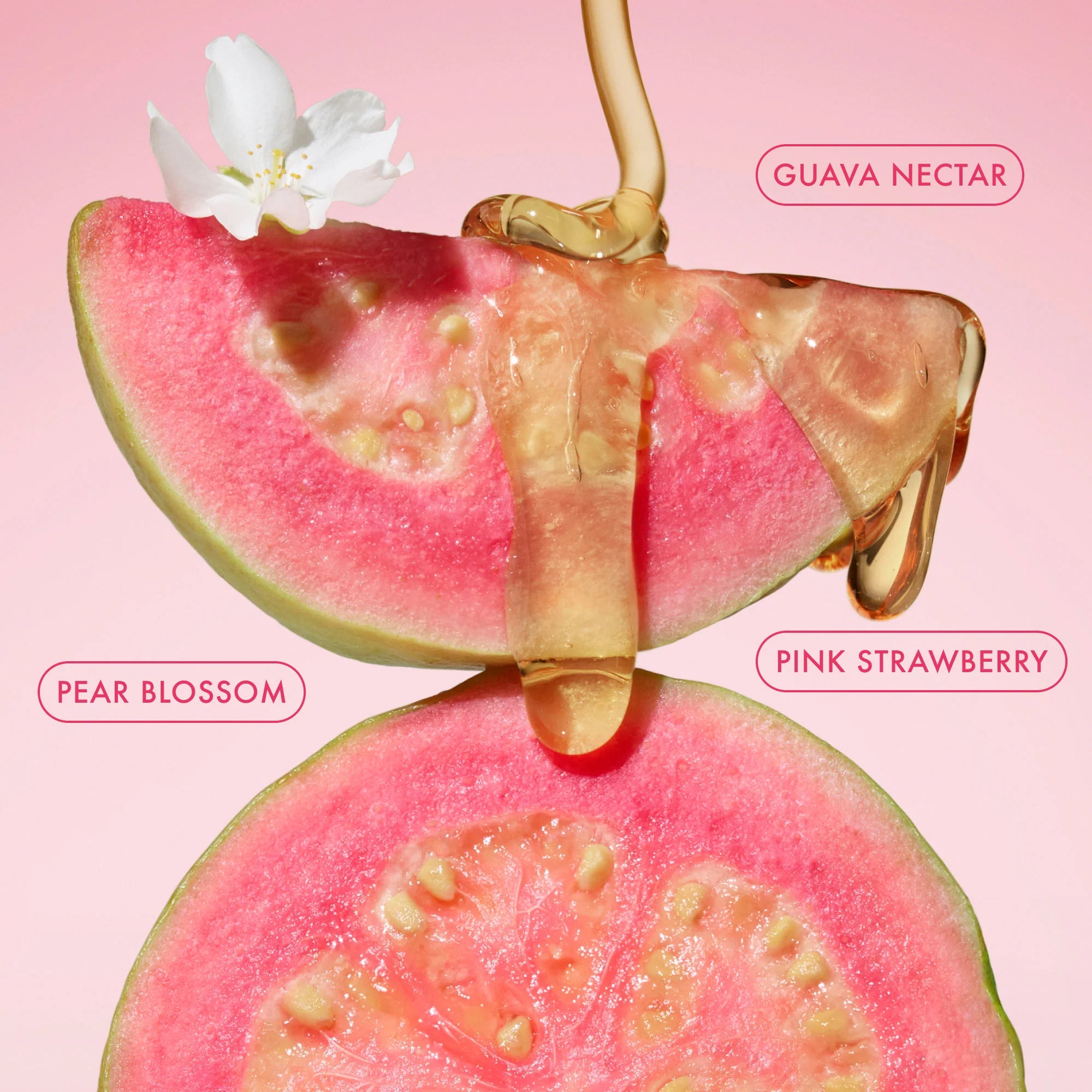 Body Fragrance Mist